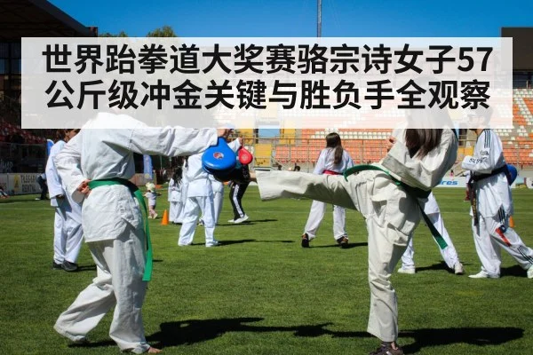 taekwondo competition kick(b sports)