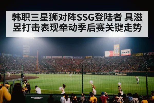 baseball stadium night(b sports)