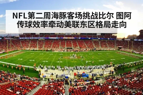american football stadium crowd